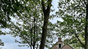 A single-story house with a sloped roof, a front porch with a bench, and a paved pathway leading to the entrance. - Compleet huisje tussen de weilanden in Ewijk (Ewijk)