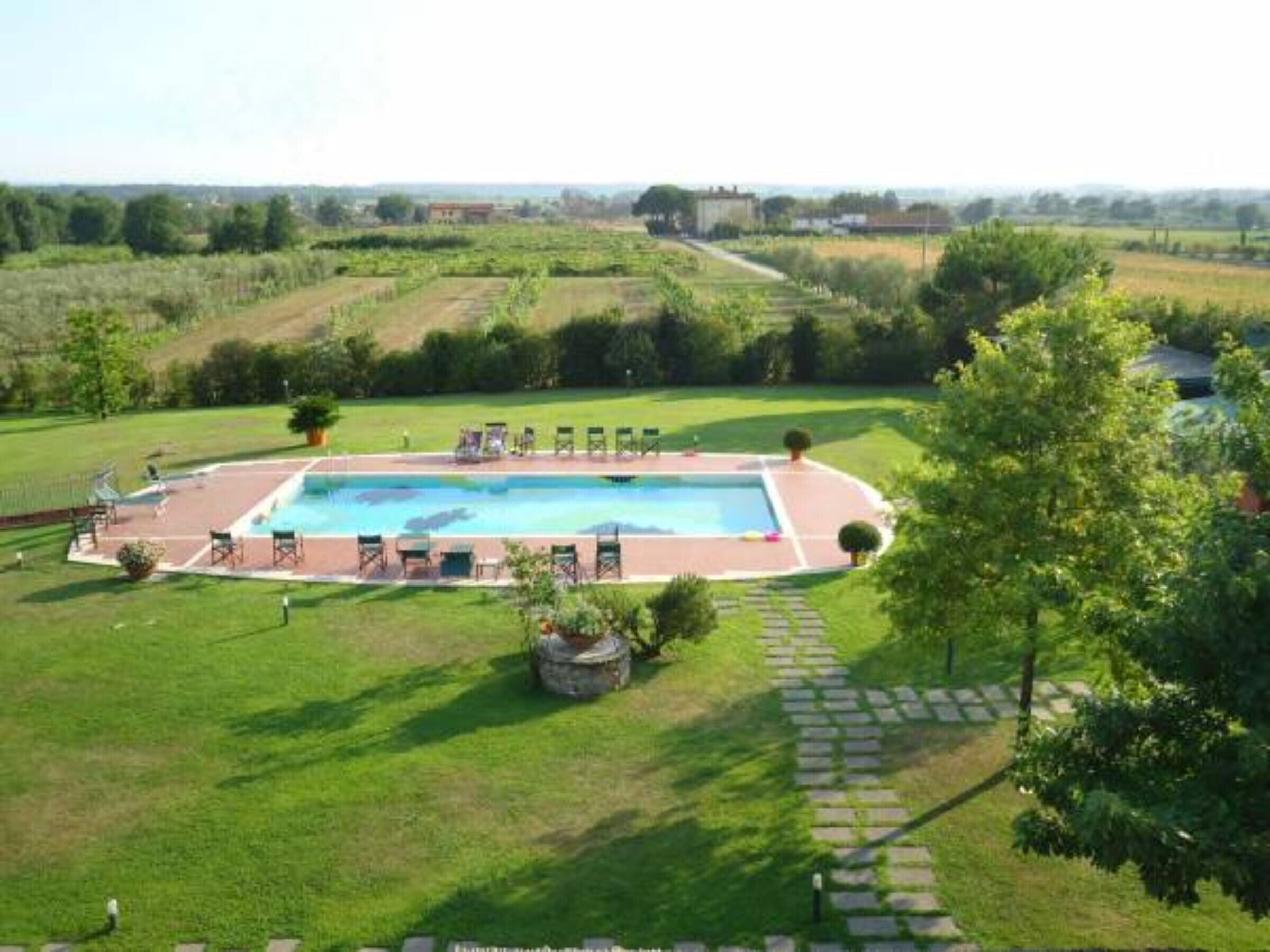 Une piscine rectangulaire entourée d’une terrasse dallée, elle-même bordée d’une pelouse agrémentée de quelques arbres et d’un sentier en pierre menant à la piscine.