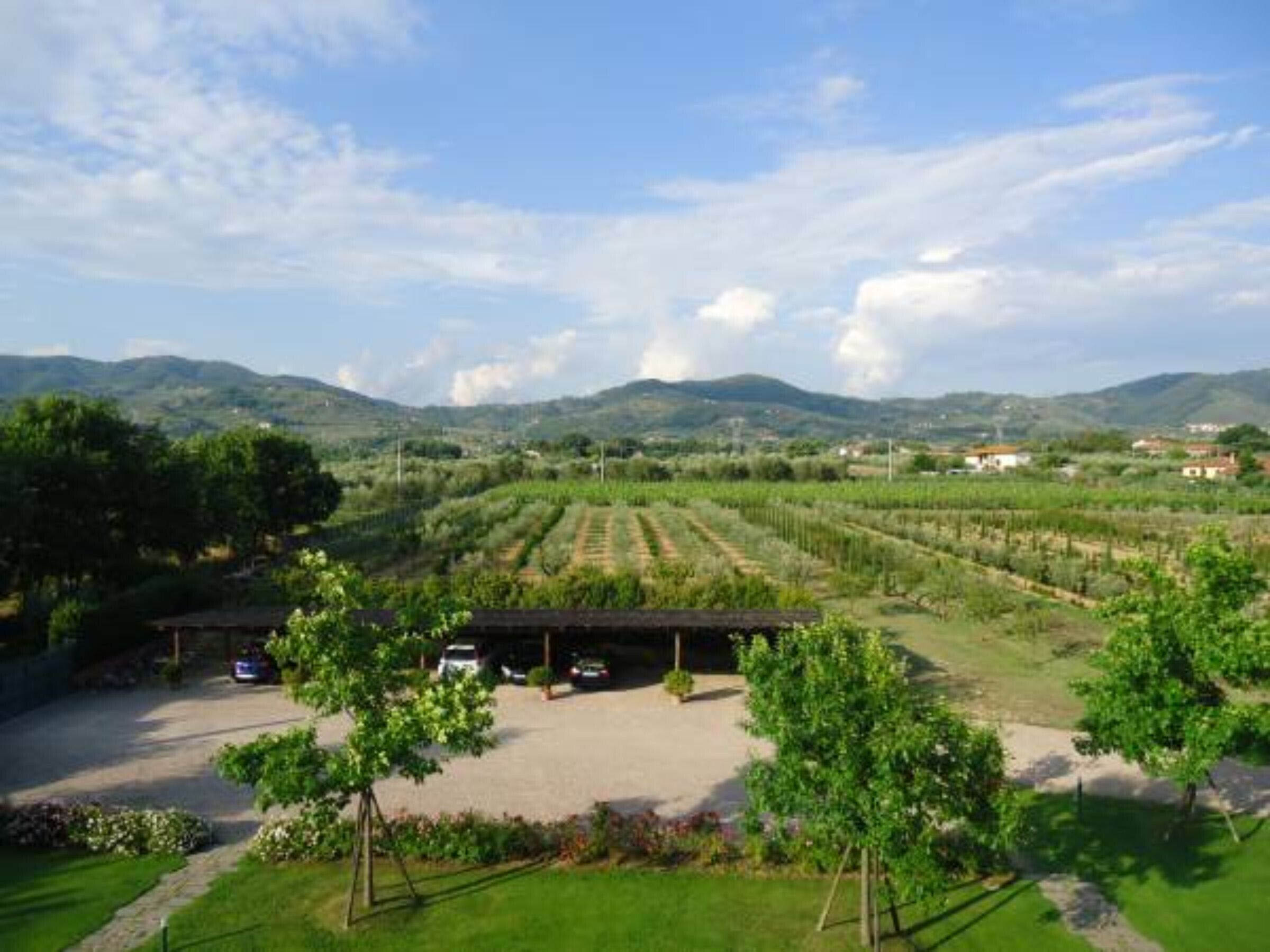 A vineyard with rows of grapevines, a parking area, and a building with a roof.