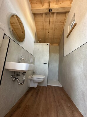 Chuveiro, secador de cabelo, toalhas de banho 