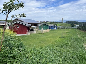 Ländliche Szenerie mit einem roten Bauernhaus, einem blauen Schuppen und einem grünen Gebäude, umgeben von grünen Feldern und blauem Himmel.