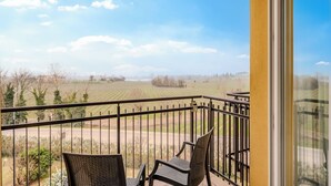 A balcony with two wicker chairs, a metal railing, and a view of a vineyard and distant trees under a clear sky. - Hotiday Peschiera Frassino (Broglie)