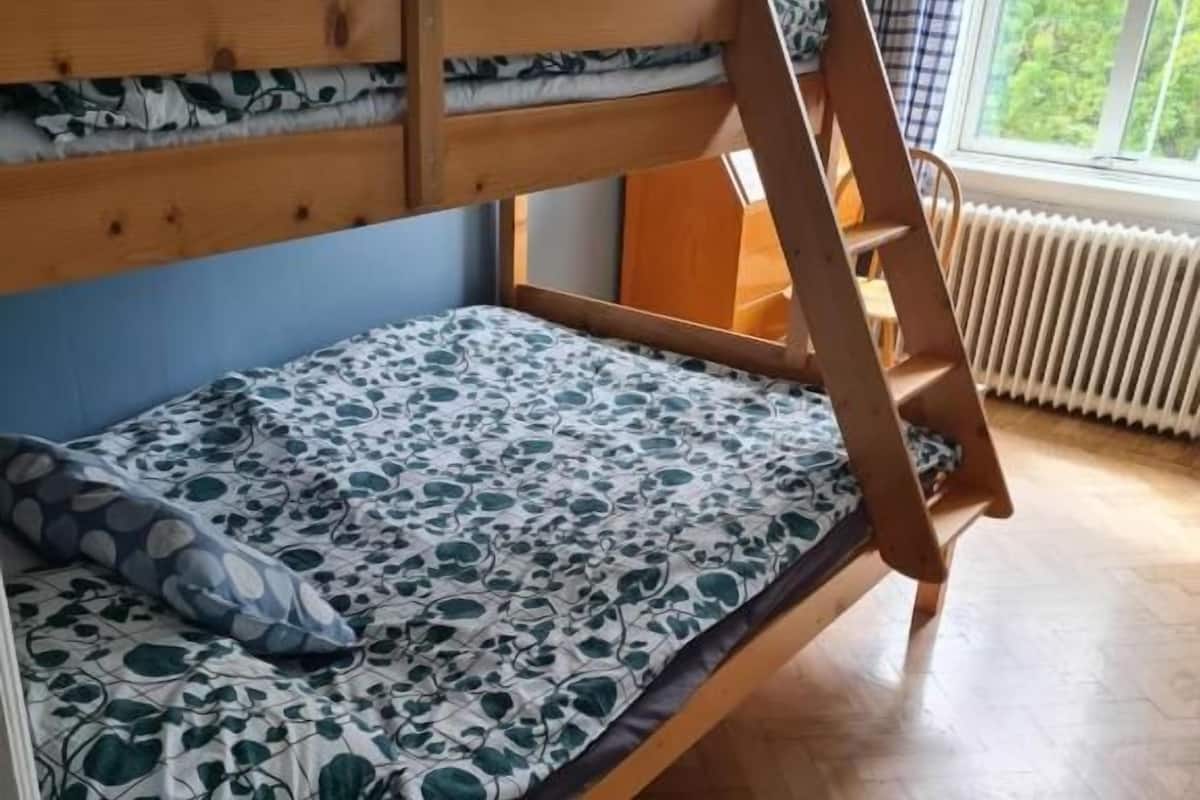 Basic Triple Room, City View