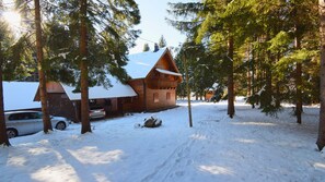 Exterior - Villa Luxury Love Chalet by Villas Guide (Mrkopalj)