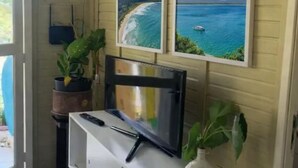 Une pièce comprenant un meuble de rangement blanc pour équipements audiovisuels, un téléviseur à écran plat et deux tableaux représentant une scène de plage.