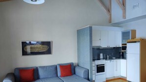 Un espai habitable reduït amb un sofà gris, una cuina petita i un sostre de fusta.