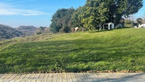 A wooden deck with a view of a grassy field, a large tree, and a small white structure. - Pays Basque: Family home with large garden, close to mountains and ocean! (Mouguerre)