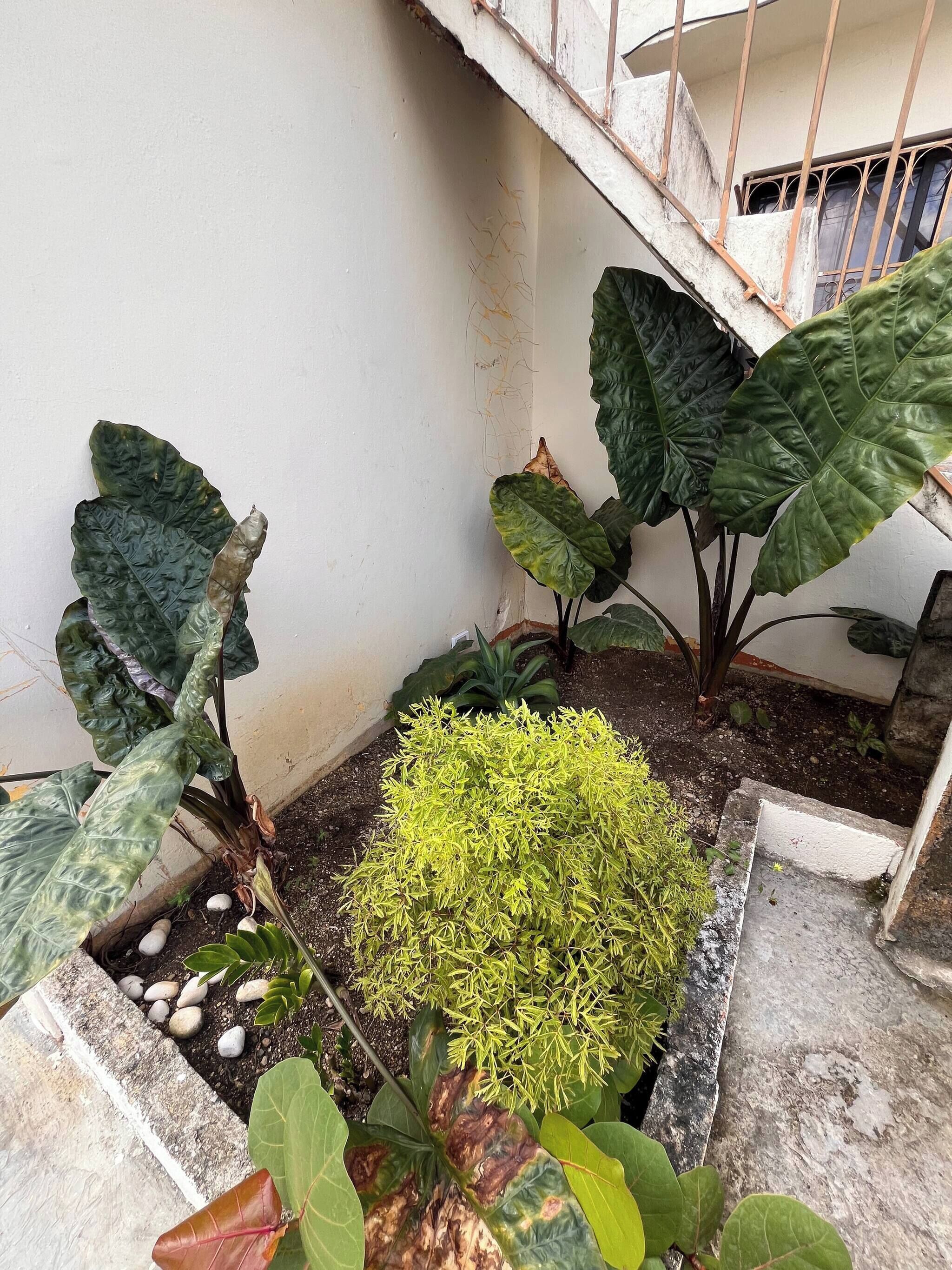 House, 3 Bedrooms, Accessible | Garden