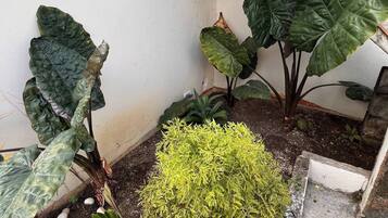 House, 3 Bedrooms, Accessible | Garden