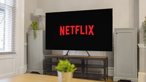 A room with a television displaying "NETFLIX" in red letters, a plant on a cabinet, and a window with blinds. - Central Vista Retreat (Chester)