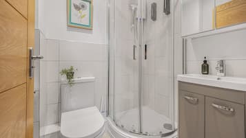 Shower, hair dryer