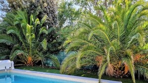 A rectangular swimming pool surrounded by lush greenery and palm trees. - VILLA La Mazal, Bord de Mer, Balnéo, Piscine Clim (Sète)