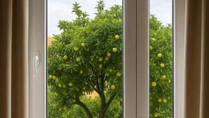 A room with a window overlooking a tree with yellow fruits, a radiator below the window, and beige curtains. - Bed Cinecittadue (Rome)