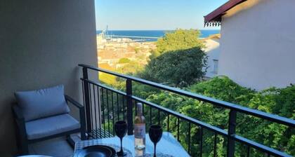 Le Revest Terrasse Clim Vue Mer Parking Centre