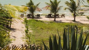 Een strand met palmbomen, een zandpad en strandstoelen.