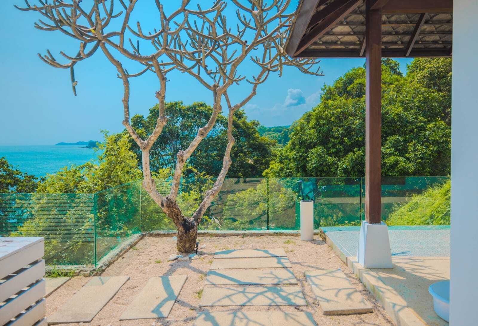 Terraço com vista para o mar, uma árvore e guarda-corpo de vidro.