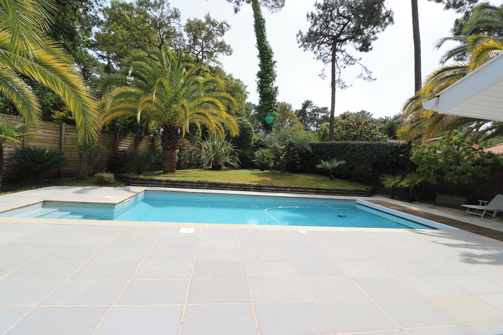 A rectangular swimming pool with a tiled deck, surrounded by lush greenery and tall trees.