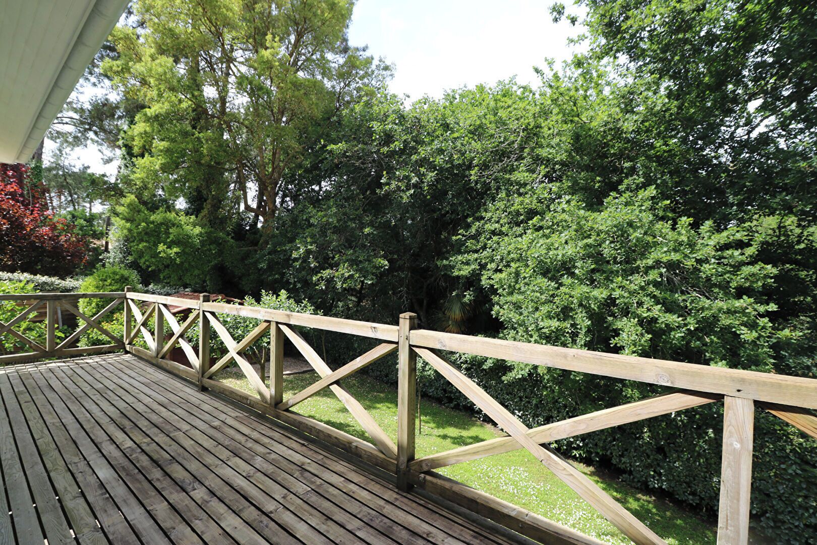 A wooden deck with a railing, surrounded by lush greenery and trees.