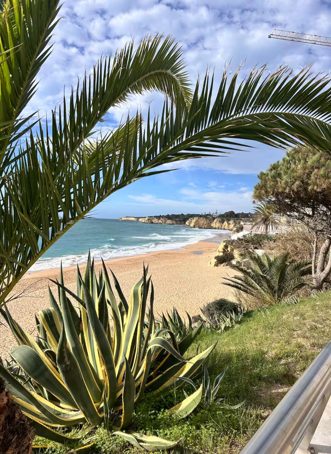 A beach with a view of the ocean, palm trees, and a distant cliff.