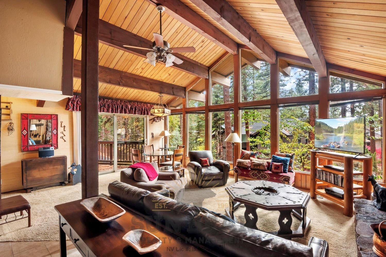 Télévision, cheminée, lecteur de DVD, livres