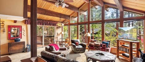 TV, fireplace, DVD player, books