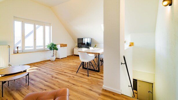 A spacious living area with a dining table, chairs, a sofa, a TV, and a potted plant. - Apartment 'Kim Fewo 4' with Wi-Fi (Emmendingen)