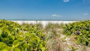 A beach with green vegetation and a clear sky. - Vacation Villas #431 Stunning Beachfront Condo (Fort Myers Beach)