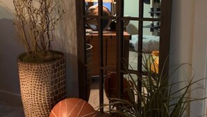 A room with a large mirror, a potted plant, and a unique spherical object on the floor. - Spacious 2-Bedroom Ranch Style Home in Sun Lakes Private Golf Community (Sun Lakes)