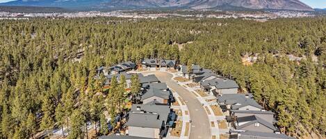 A residential area with houses arranged in a semi-circular pattern, surrounded by dense forest and mountains in the background.