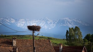 Miscellaneous - Casa Mosului double room mountain view 1 (Cârțișoara)