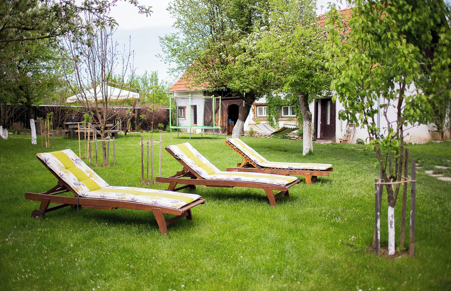 Overnattingsstedets uteområder