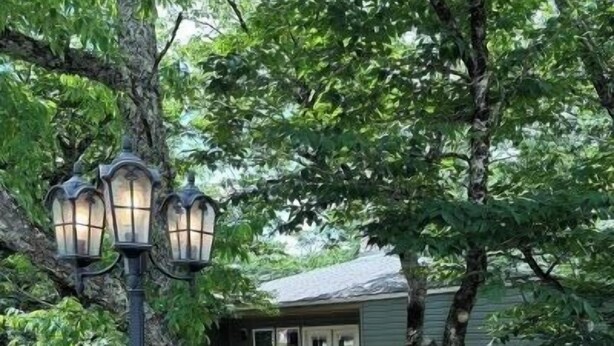 A wooden bridge leading to a house with a porch, surrounded by trees. - SW-59 Deaver's Delight  Newly remodeled (Beech Mountain)