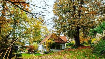 Área da propriedade