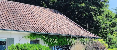 Una casa con techo de tejas, un porche y un jardín con diversas plantas y flores.
