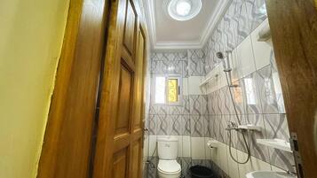 Shower, towels, toilet paper