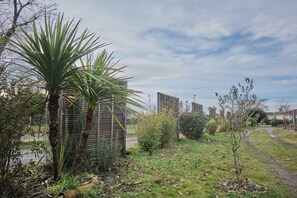 Property grounds - 3-bedroom Landaise house on the Arcachon Basin, set in 900m2 of garden. (Mios)