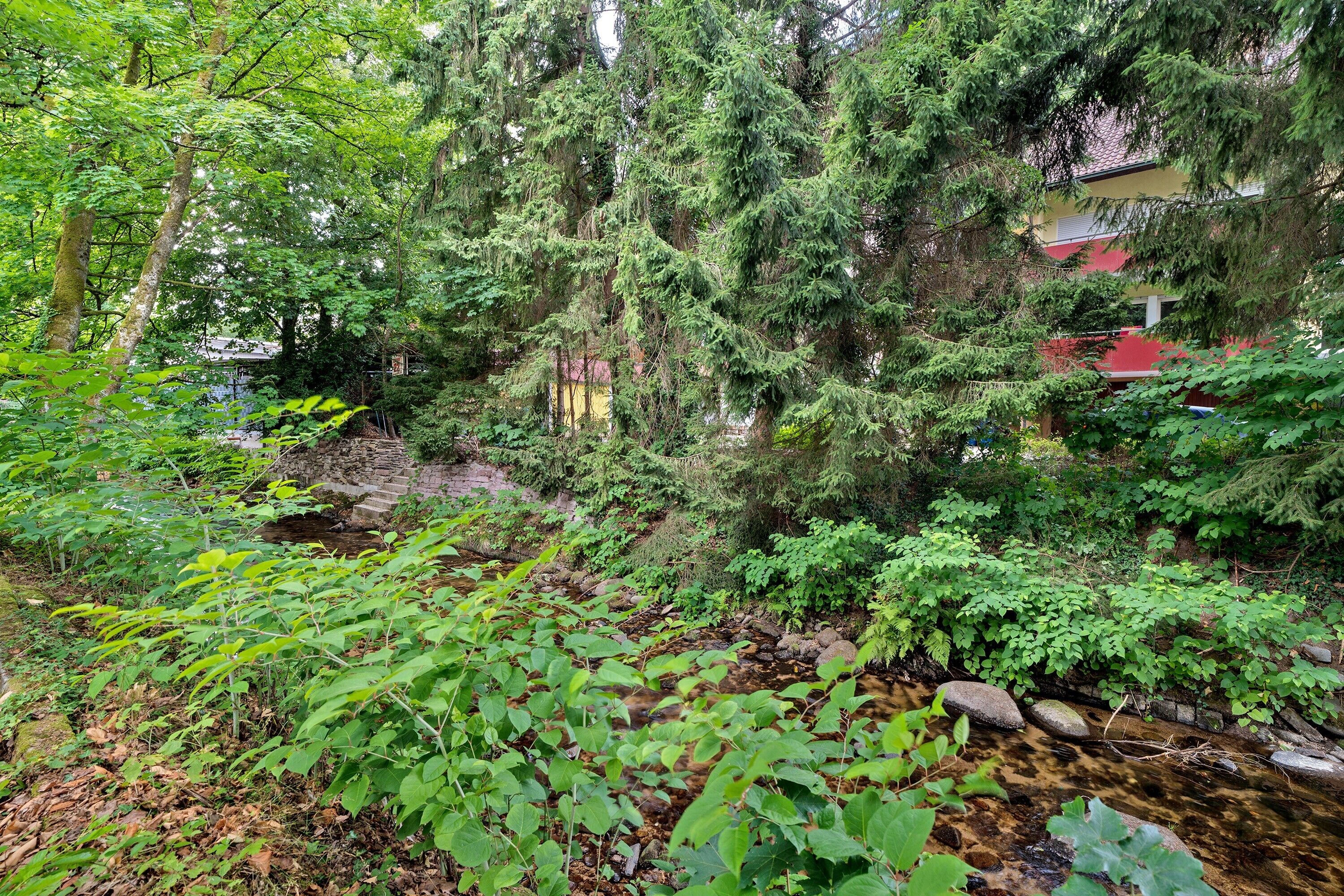 Parco della struttura