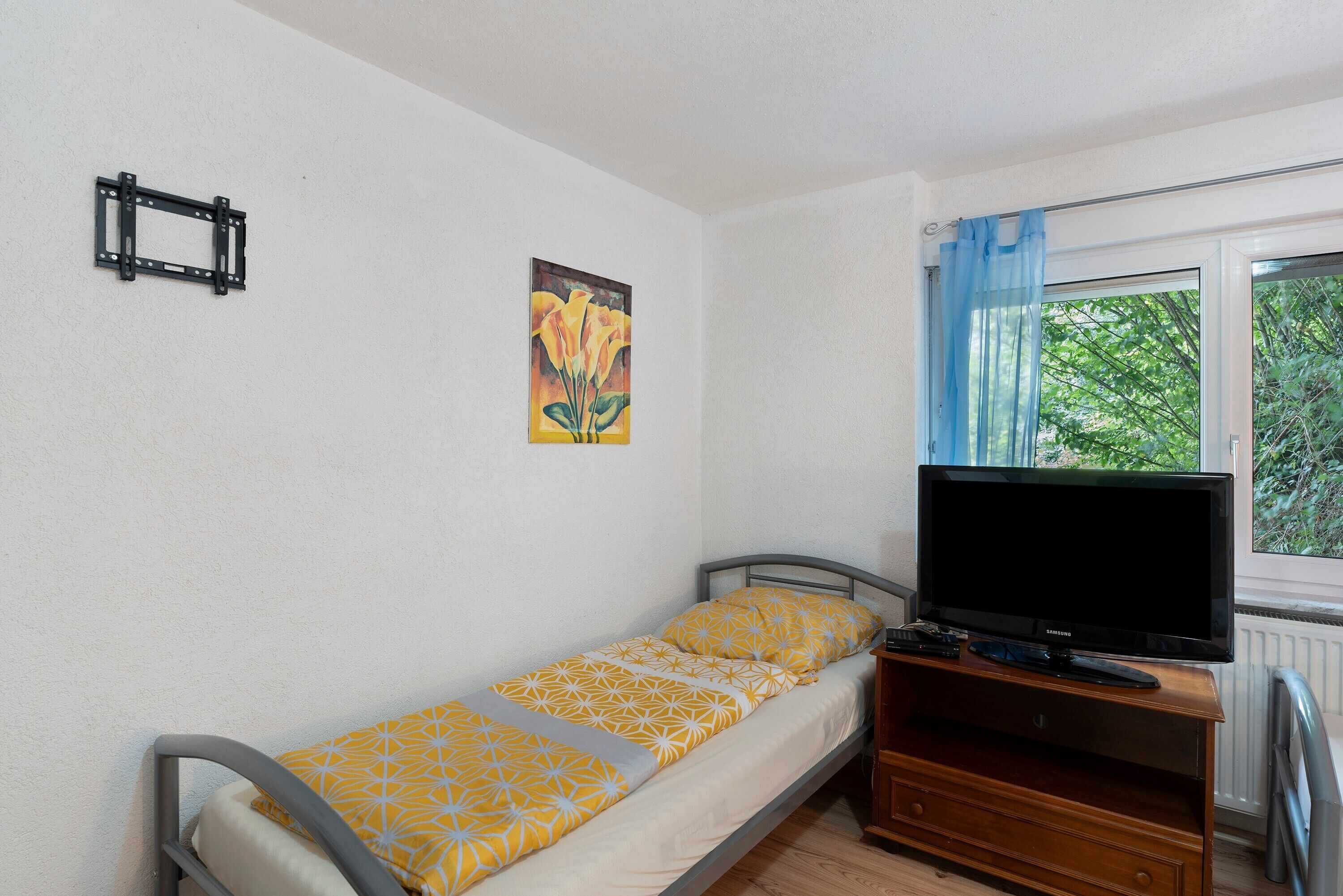 Una cama individual con televisión y muebles de madera, un cuadro en la pared y una ventana con vistas a zonas verdes.