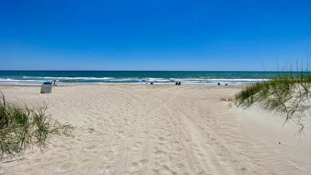 Una playa arenosa con cielo azul despejado, un bote de basura y vegetación escasa.