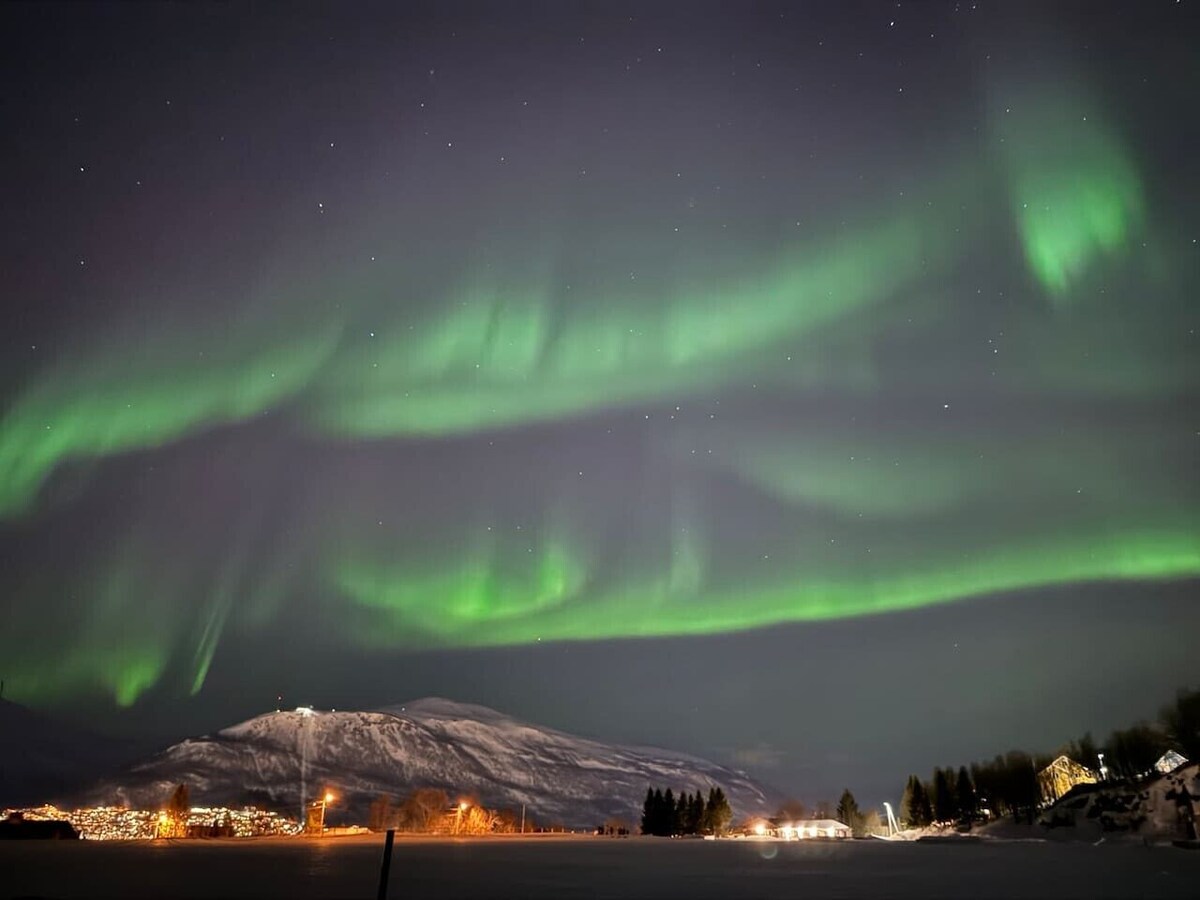 オーナーのプロフィール画像