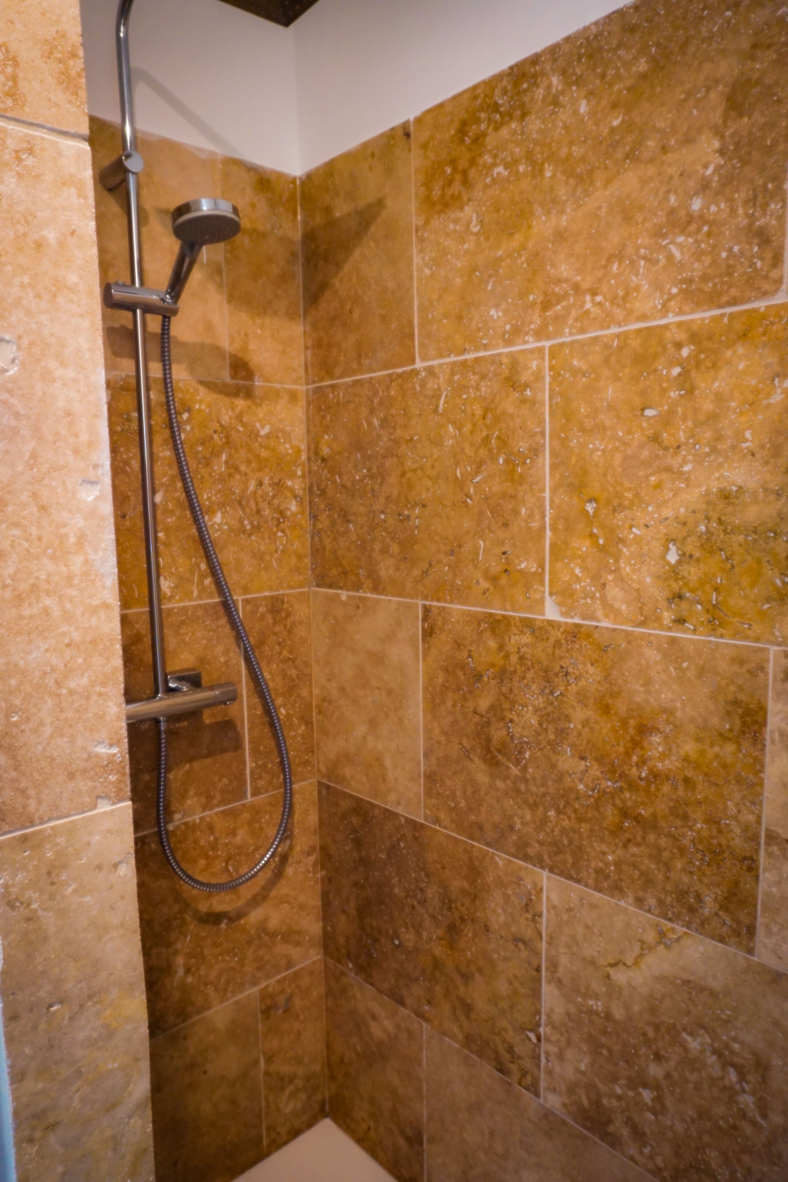 Shower, towels, toilet paper