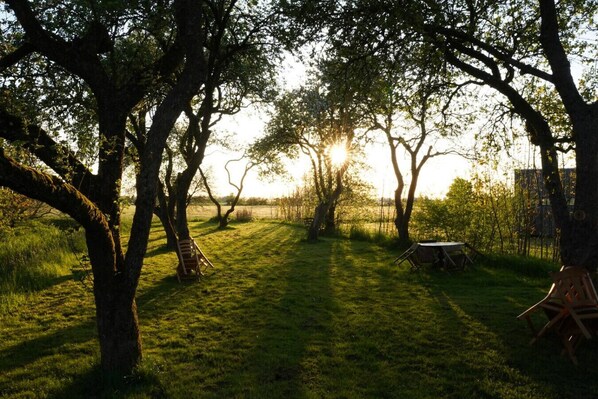 Jardines del alojamiento
