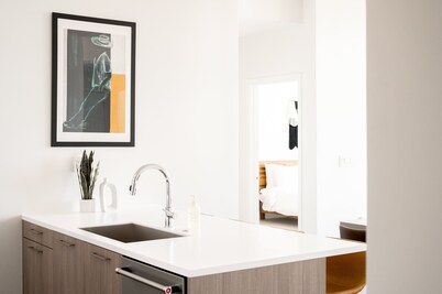 2880 U505 Skytop Perspective at Espadin