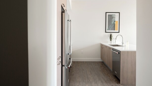 A modern kitchen with a built-in dishwasher, a sink, and a framed artwork on the wall. - 2880 U505 Skytop Perspective at Espadin (Denver)