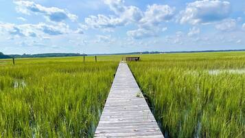 A wooden boardwalk leading through a lush green field with a bench at the end.