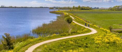 A curved path beside a lake with a clear sky and distant trees.
