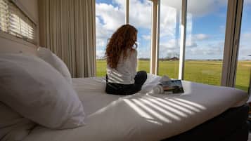 Escritorio, wifi y ropa de cama