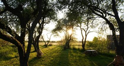 Boerderijkamer bij Leeuwarden. Natuur en 11steden
