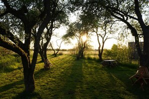 Jardines del alojamiento