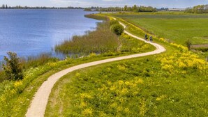 Een boogvormig pad dat naar een waterlichaam leidt, omgeven door groene velden en gele bloemen.